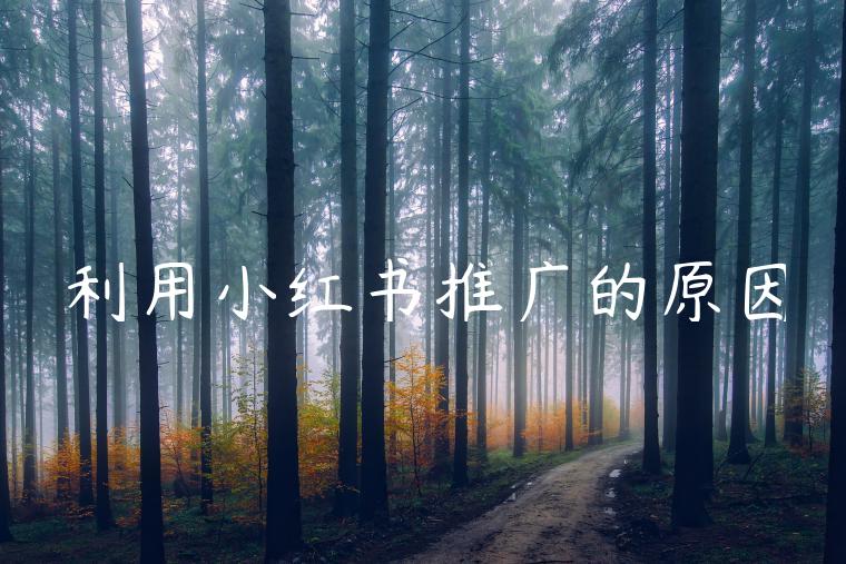 利用小红书推广的原因 利用小红书推广的原因