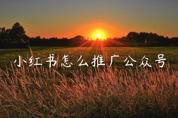 小红书怎么推广公众号 小红书怎么推广公众号