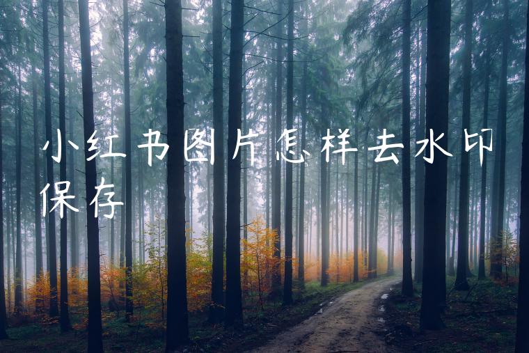小红书图片怎样去水印保存