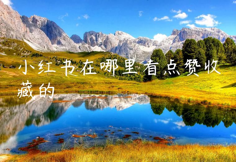 小红书在哪里看点赞收藏的 小红书在哪里看点赞收藏的