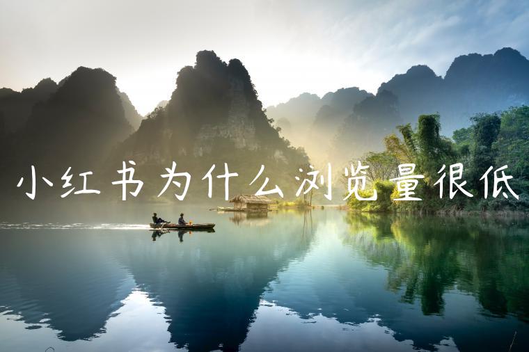 小红书为什么浏览量很低 小红书为什么浏览量很低