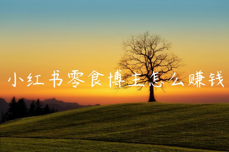 小红书零食博主怎么赚钱