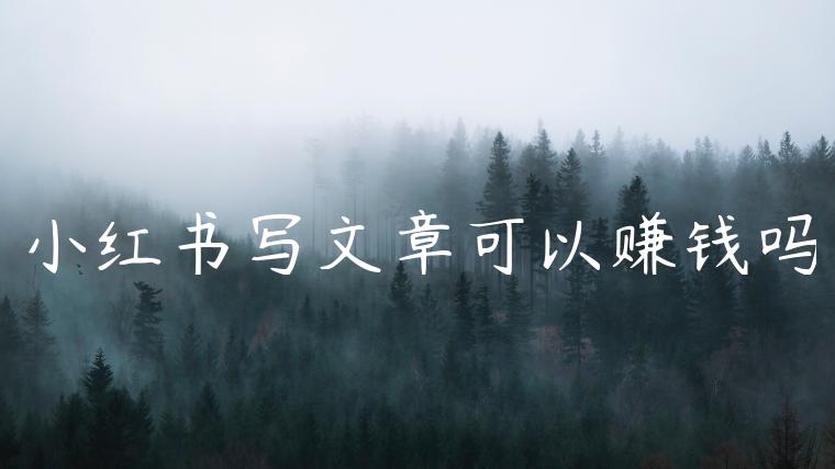 小红书写文章可以赚钱吗 小红书写文章可以赚钱吗