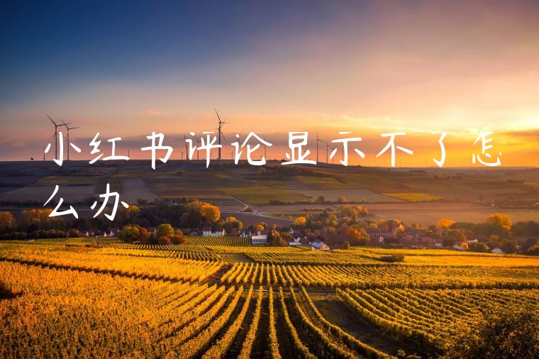 小红书评论显示不了怎么办 小红书评论显示不了怎么办