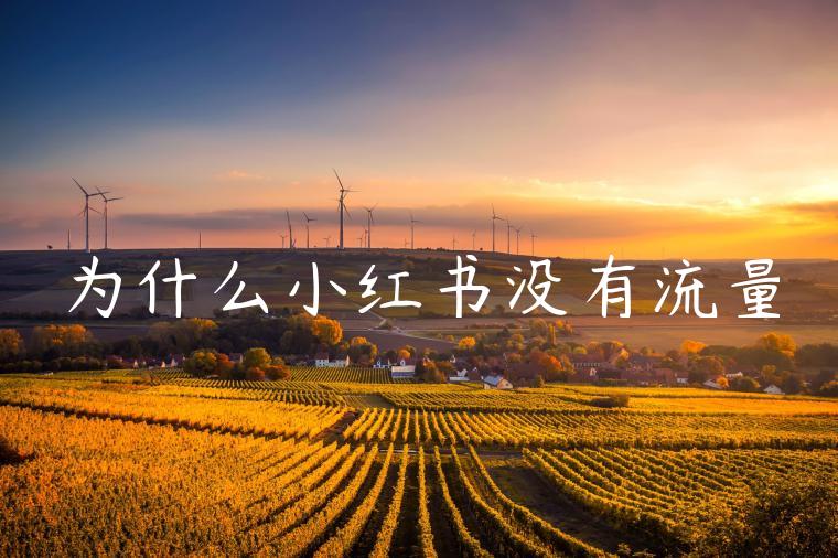 为什么小红书没有流量 为什么小红书没有流量