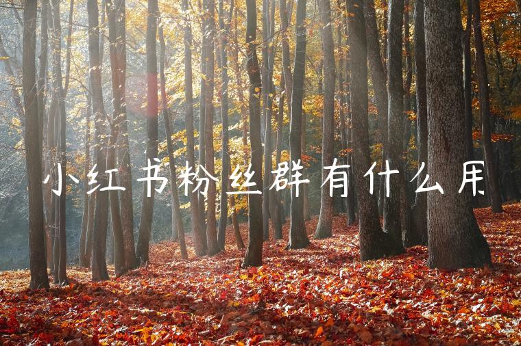 小红书粉丝群有什么用