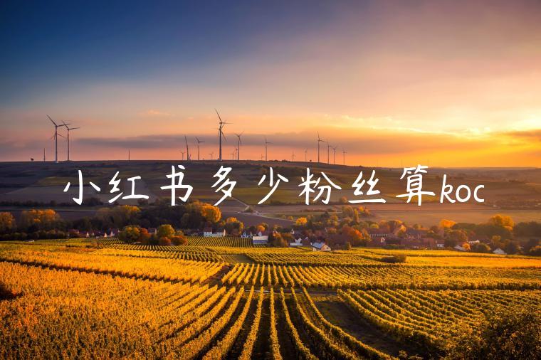 小红书多少粉丝算koc