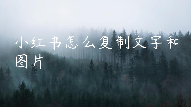 小红书怎么复制文字和图片