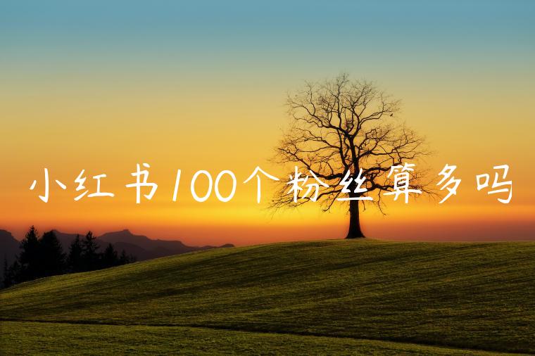 小红书100个粉丝算多吗