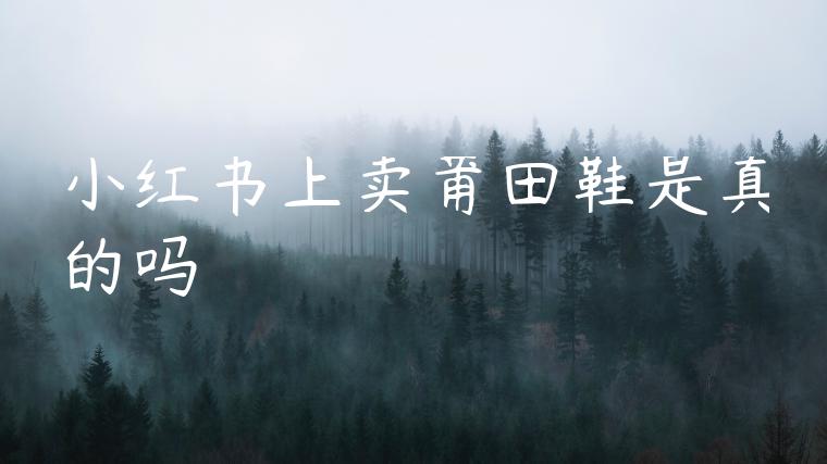 小红书上卖莆田鞋是真的吗 小红书上卖莆田鞋是真的吗