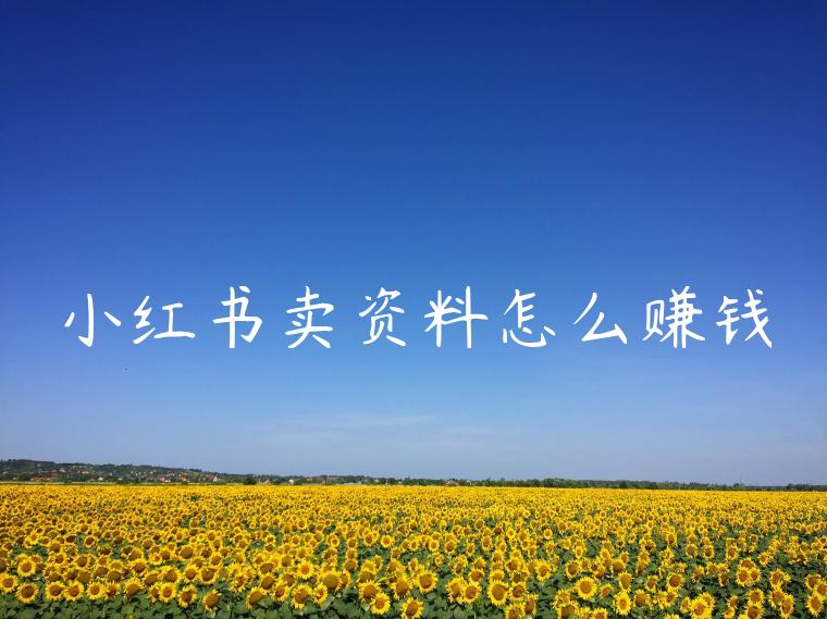 小红书卖资料怎么赚钱 小红书卖资料怎么赚钱