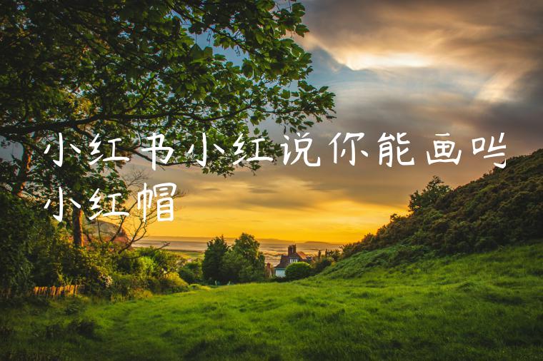 小红书小红说你能画吗小红帽