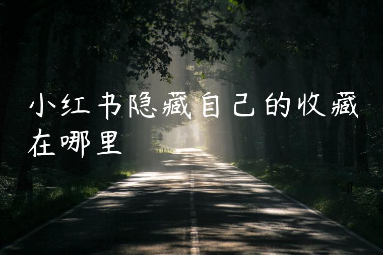 小红书隐藏自己的收藏在哪里