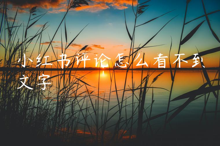 小红书评论怎么看不到文字 小红书评论怎么看不到文字