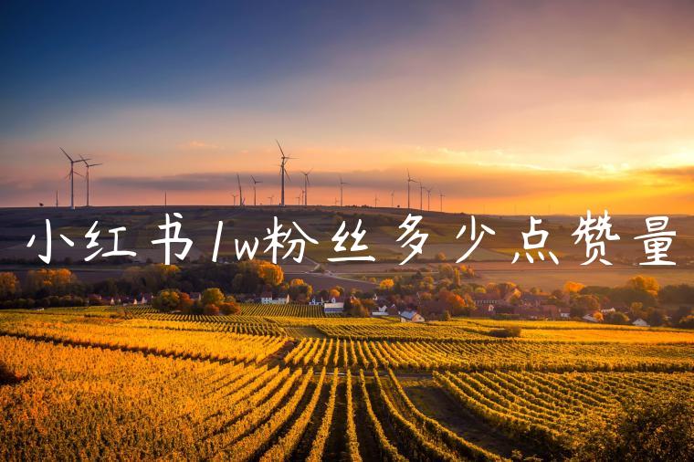 小红书1w粉丝多少点赞量