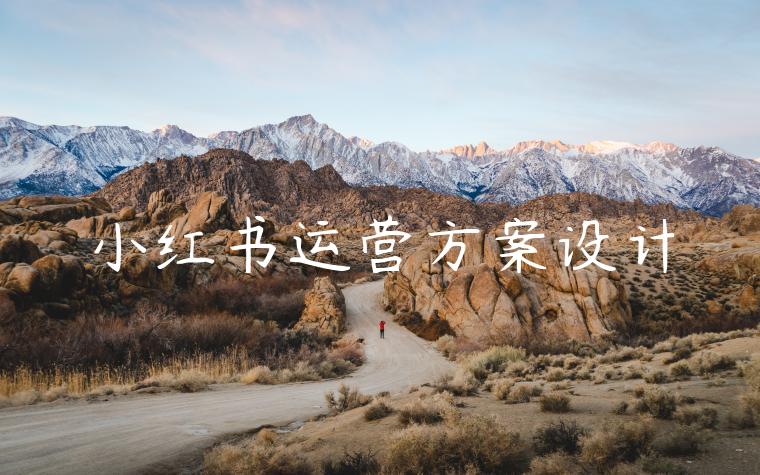 小红书运营方案设计 小红书运营方案设计