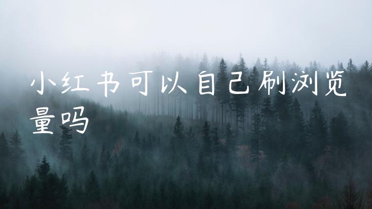 小红书可以自己刷浏览量吗 小红书可以自己刷浏览量吗