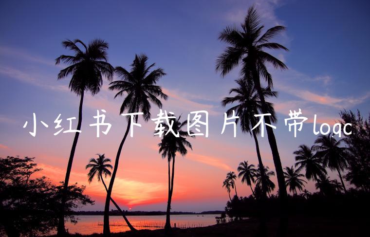 小红书下载图片不带logo