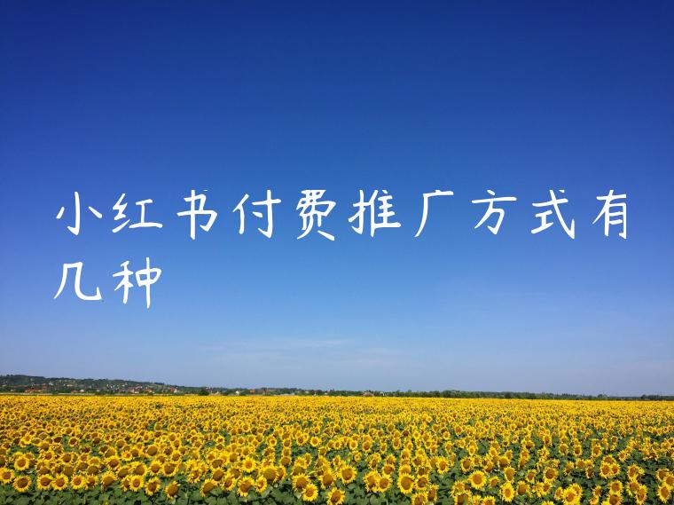 小红书付费推广方式有几种