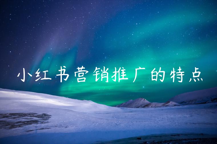 小红书营销推广的特点 小红书营销推广的特点