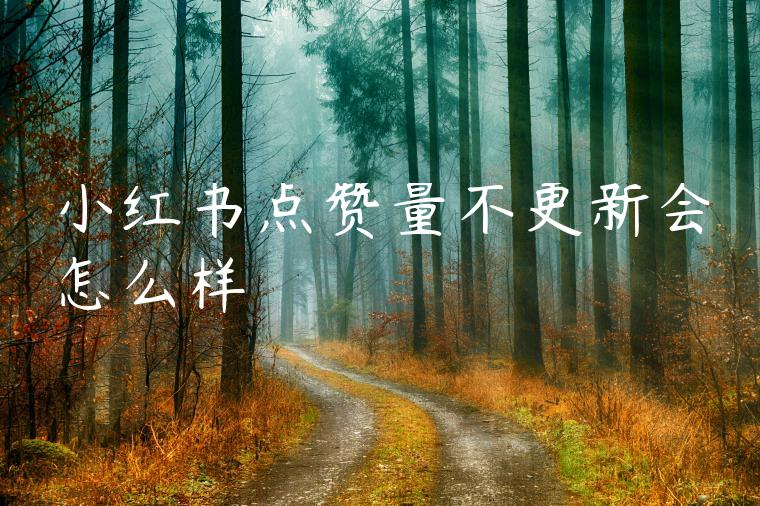 小红书点赞量不更新会怎么样 小红书点赞量不更新会怎么样