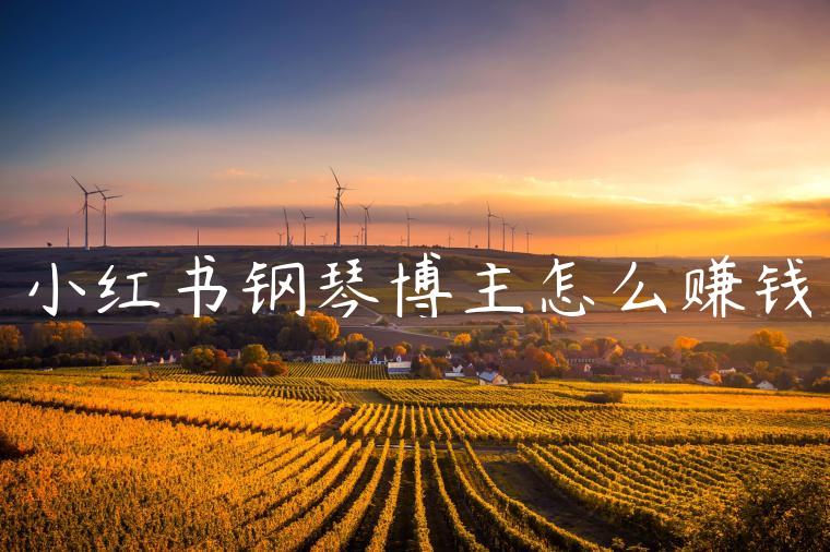 小红书钢琴博主怎么赚钱 小红书钢琴博主怎么赚钱