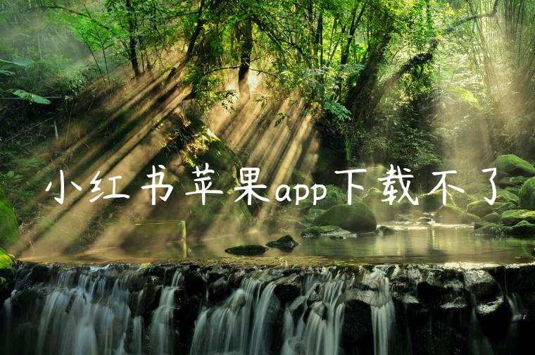 小红书苹果app下载不了