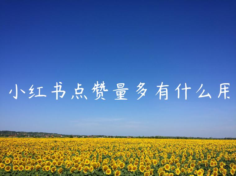 小红书点赞量多有什么用