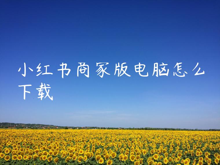 小红书商家版电脑怎么下载 小红书商家版电脑怎么下载