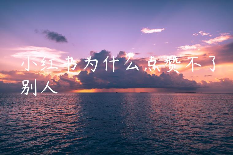 小红书为什么点赞不了别人