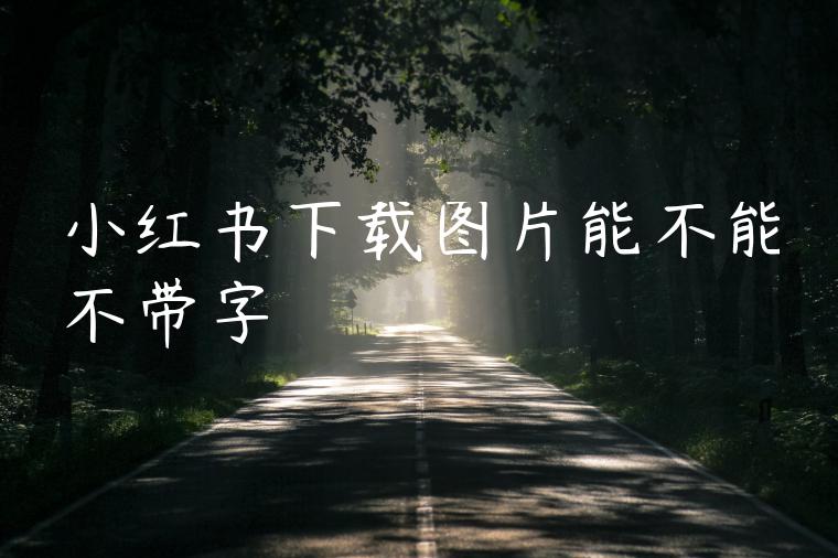 小红书下载图片能不能不带字