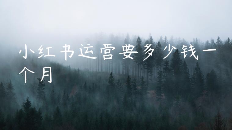 小红书运营要多少钱一个月