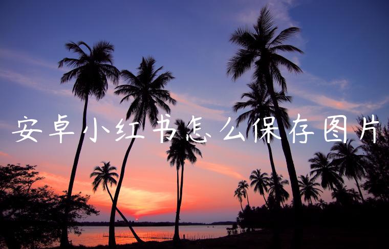 安卓小红书怎么保存图片 安卓小红书怎么保存图片