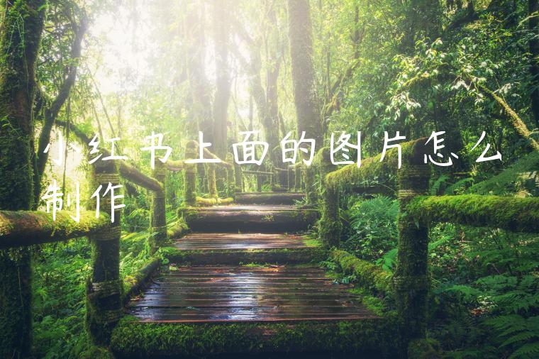 小红书上面的图片怎么制作