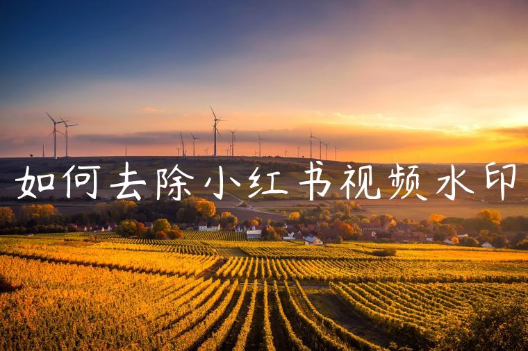 如何去除小红书视频水印