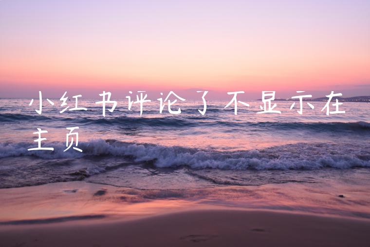 小红书评论了不显示在主页 小红书评论了不显示在主页