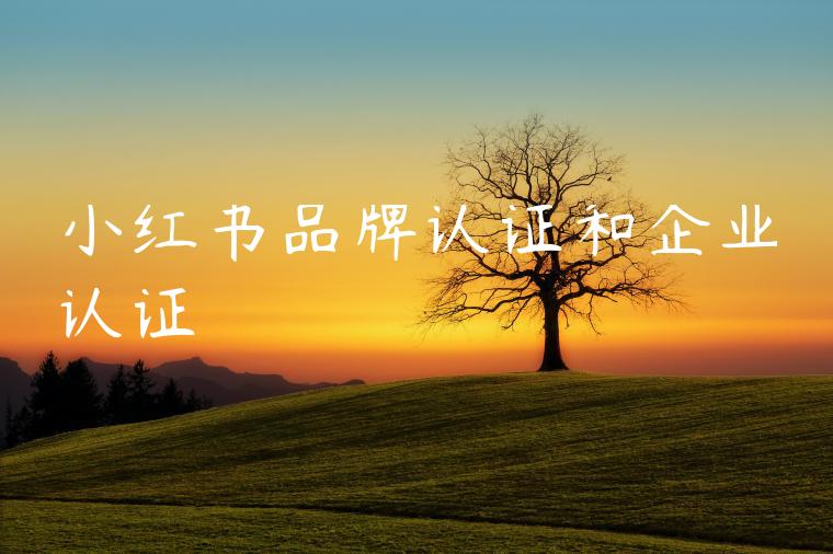 小红书品牌认证和企业认证