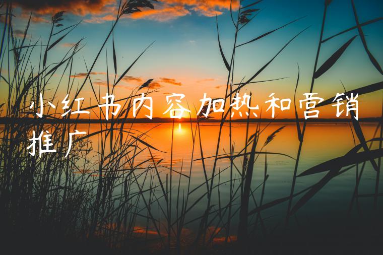 小红书内容加热和营销推广