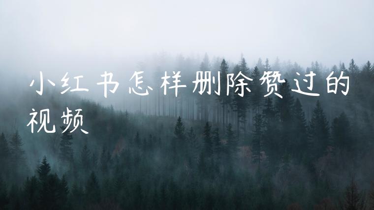 小红书怎样删除赞过的视频 小红书怎样删除赞过的视频