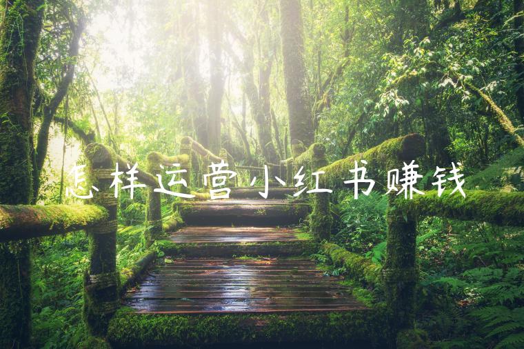 怎样运营小红书赚钱 怎样运营小红书赚钱