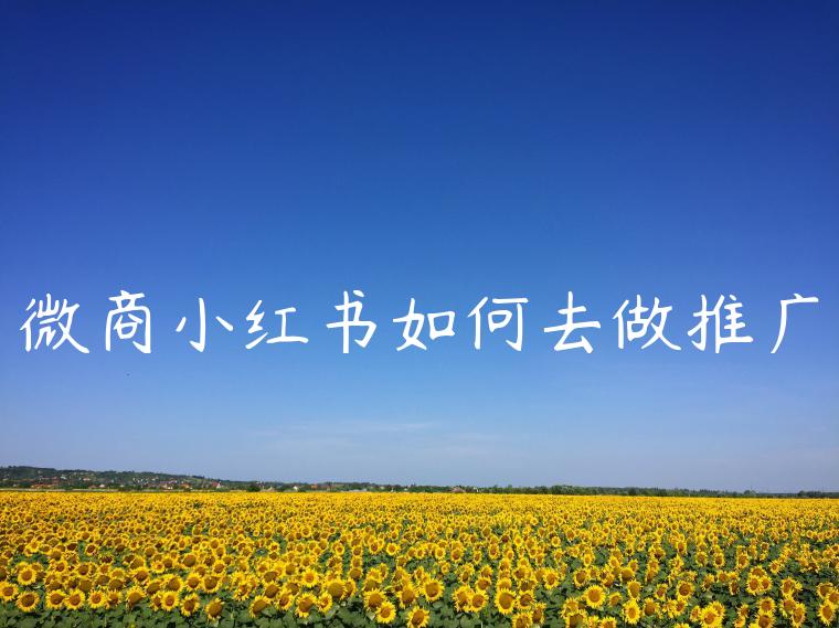 微商小红书如何去做推广