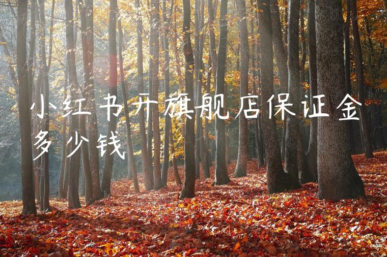 小红书开旗舰店保证金多少钱