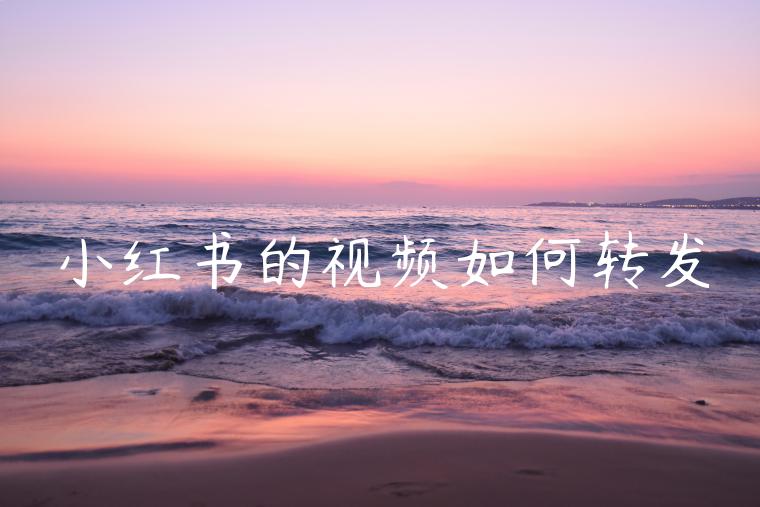 小红书的视频如何转发