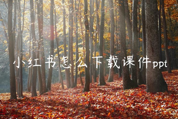 小红书怎么下载课件ppt 小红书怎么下载课件ppt