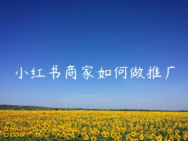小红书商家如何做推广