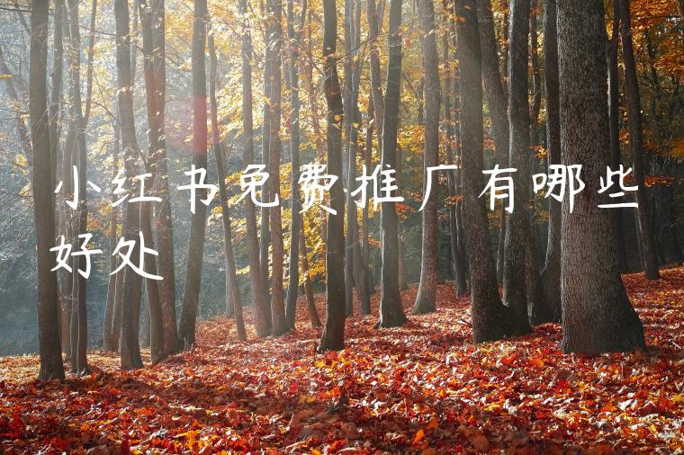 小红书免费推广有哪些好处