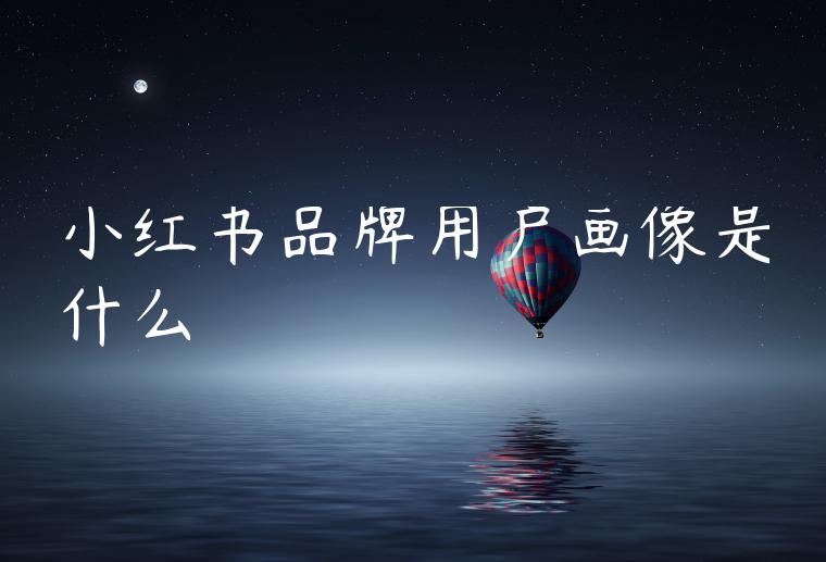 小红书品牌用户画像是什么 小红书品牌用户画像是什么