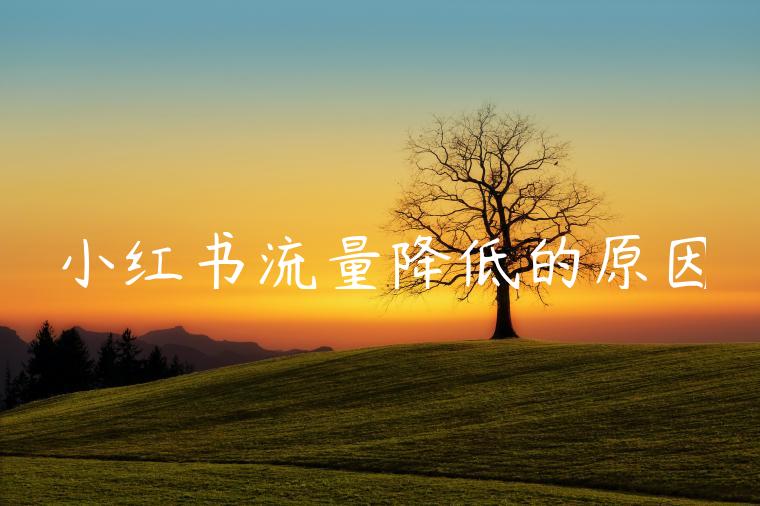 小红书流量降低的原因 小红书流量降低的原因