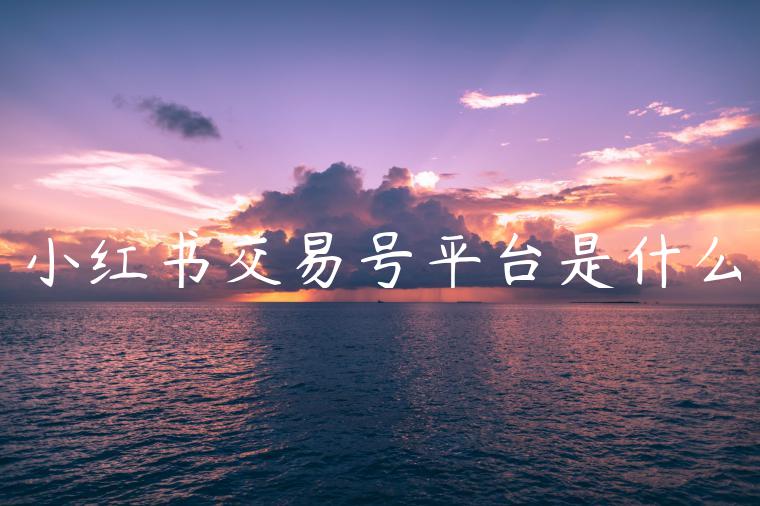 小红书交易号平台是什么 小红书交易号平台是什么