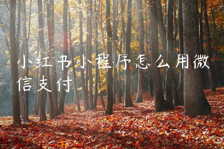 小红书小程序怎么用微信支付